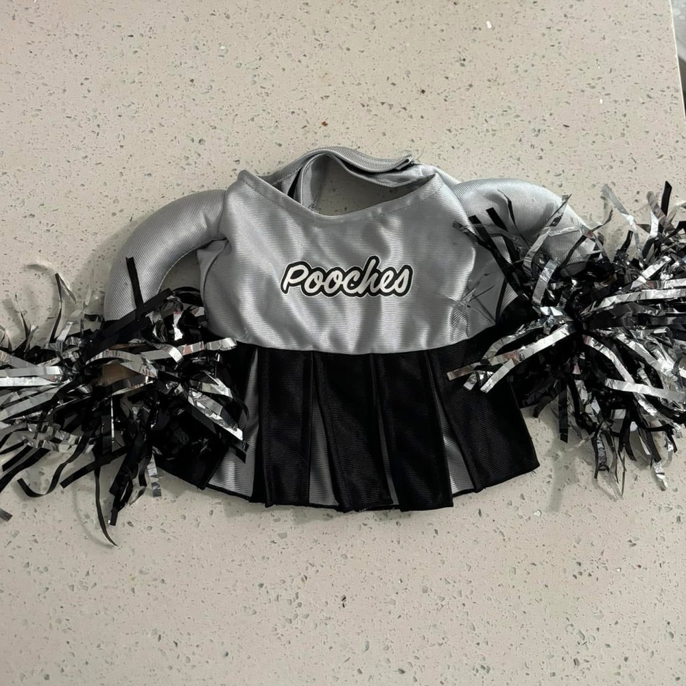 Dog costume cheerleader size S